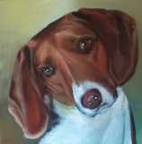 Baxter. Commission of a beagle. 20x20".