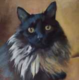 Belle. Commission of a cat. 10x10".