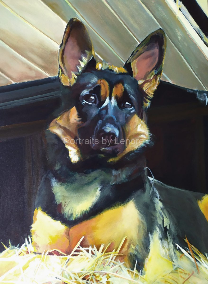 Britney. A commission of a German shepherd, 30x40".