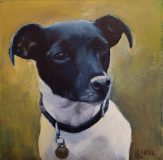 Fang. Commission of a Parsons Russell terrier. 10x10".