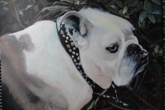 George the Bulldog. Commission. 24x30".