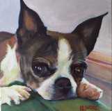 Luna. Commission of a granddog, a brindle Boston terrier. 8x8".