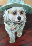Tilley. Commission of a cute pup with a Tilley hat. 18x26".
